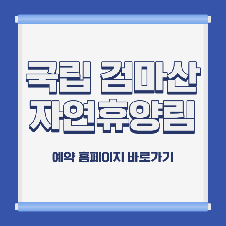 국립 검마산 자연휴양림 소나무숲 전경 경북 영양