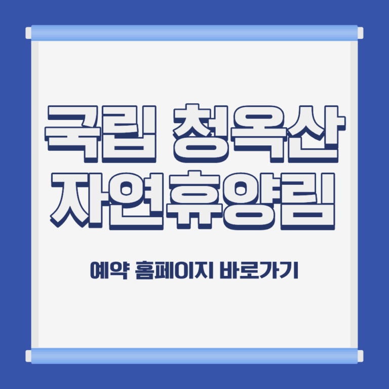 국립 청옥산 자연휴양림 춘양목 숲 전경 경북 봉화