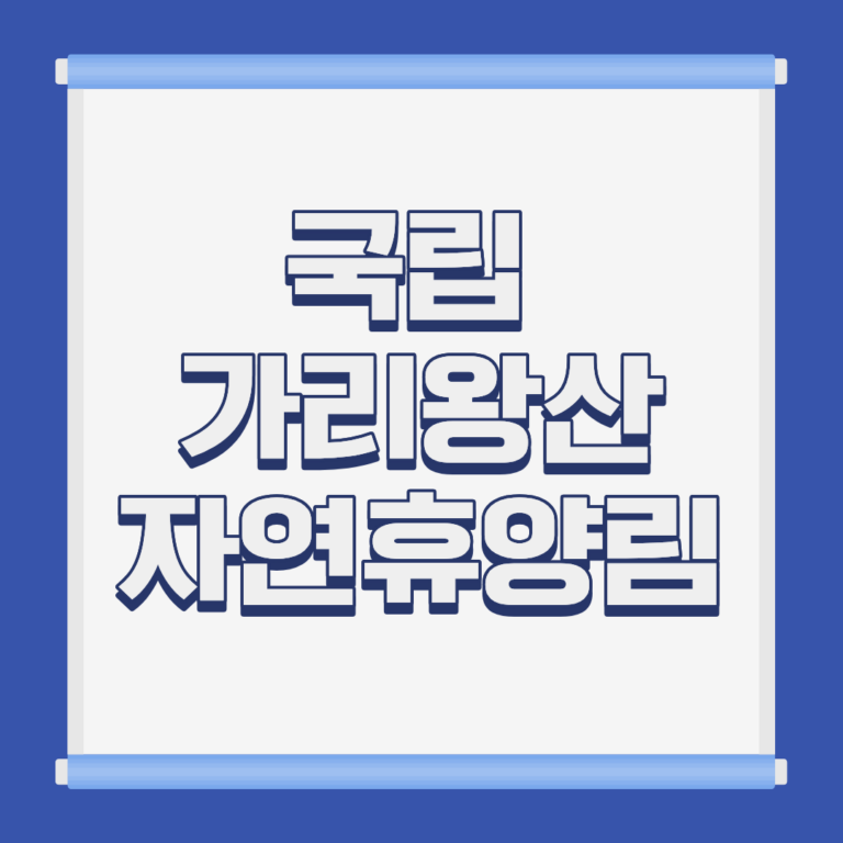 국립 가리왕산 자연휴양림 회동계곡 전경 강원 정선