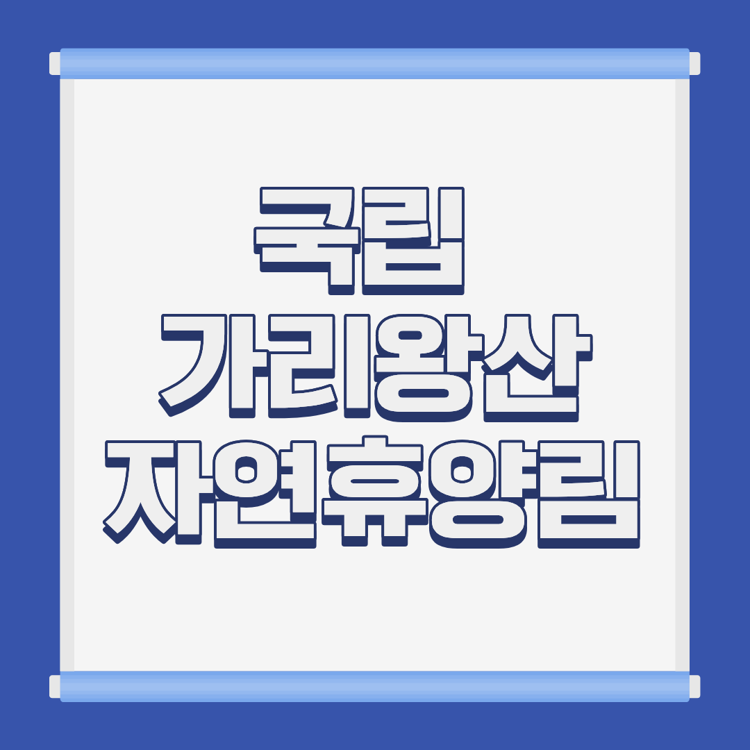 국립 가리왕산 자연휴양림 회동계곡 전경 강원 정선