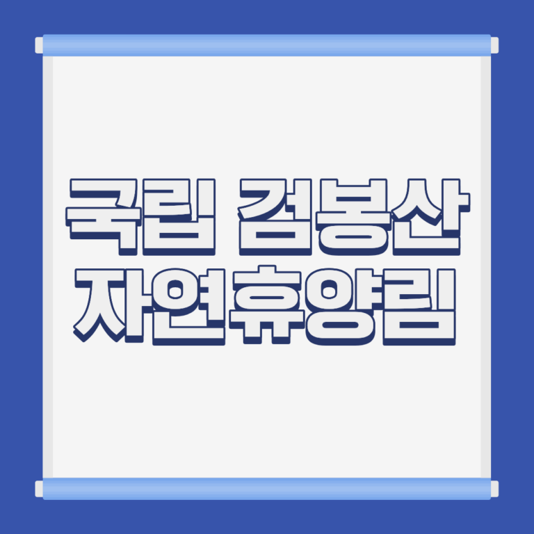 국립 검봉산 자연휴양림 소나무숲 전경 강원 삼척