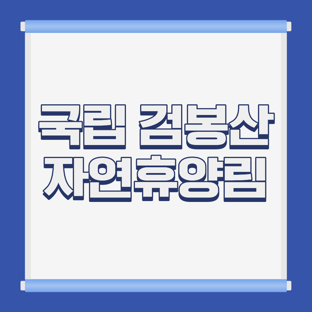 국립 검봉산 자연휴양림 소나무숲 전경 강원 삼척