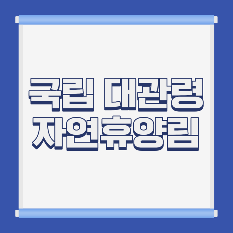 국립 대관령 자연휴양림 소나무숲 전경 강원 강릉