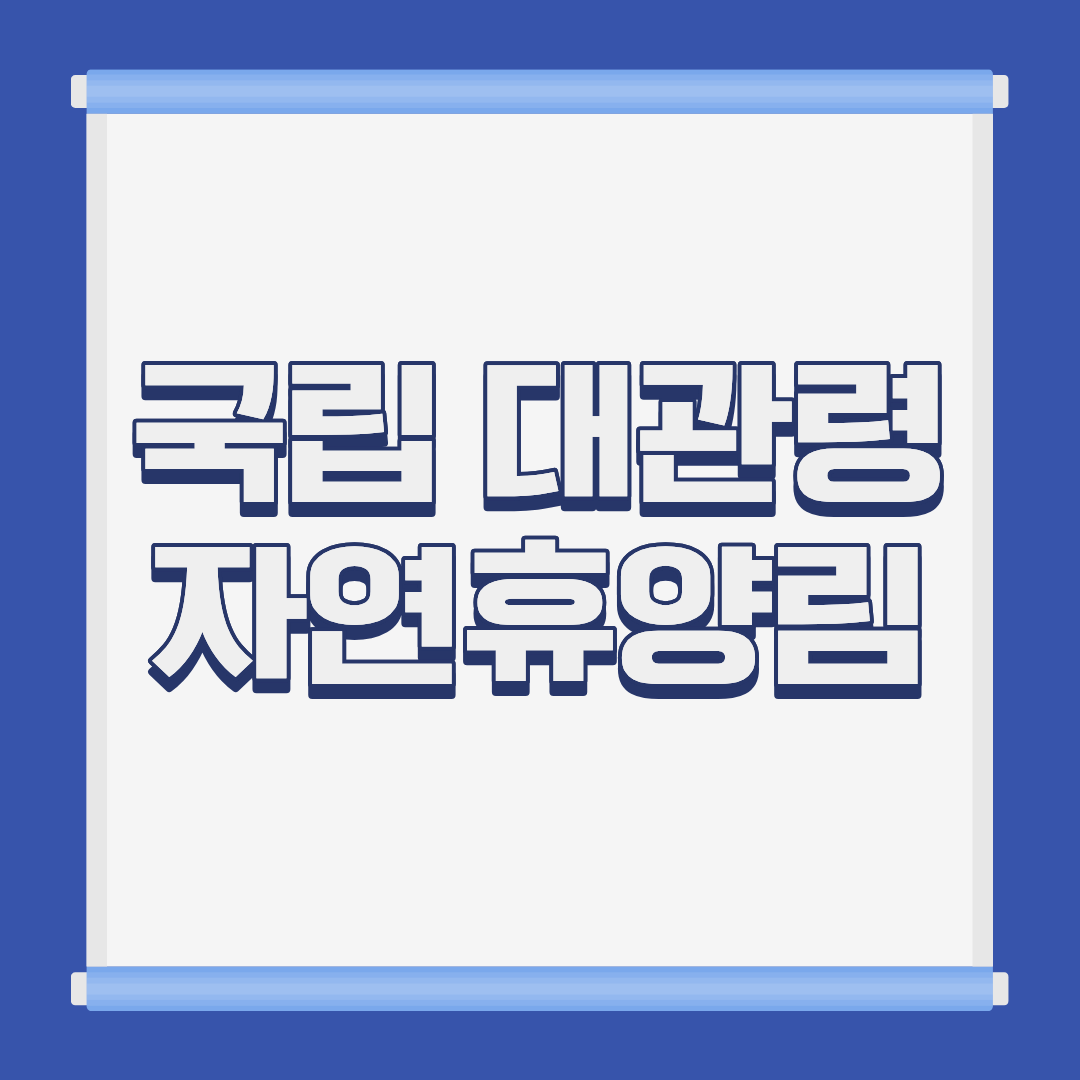 국립 대관령 자연휴양림 소나무숲 전경 강원 강릉