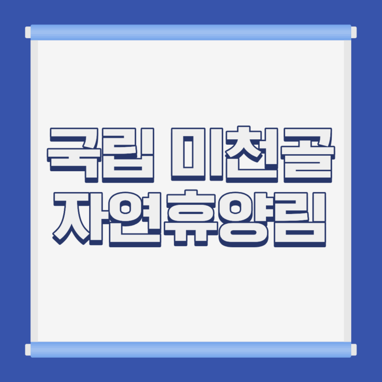 국립 미천골 자연휴양림 계곡 전경 강원 양양