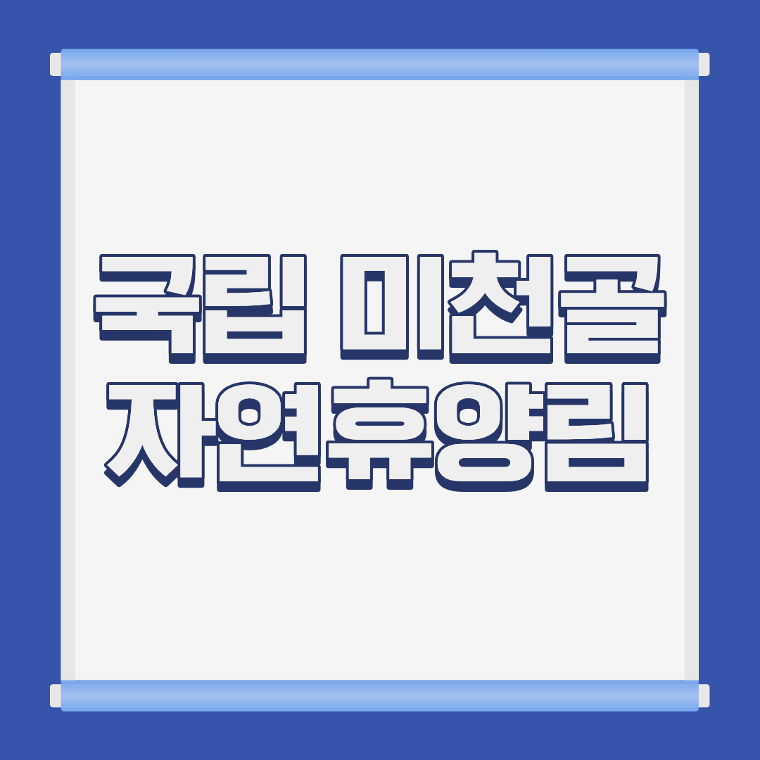 국립 미천골 자연휴양림 계곡 전경 강원 양양