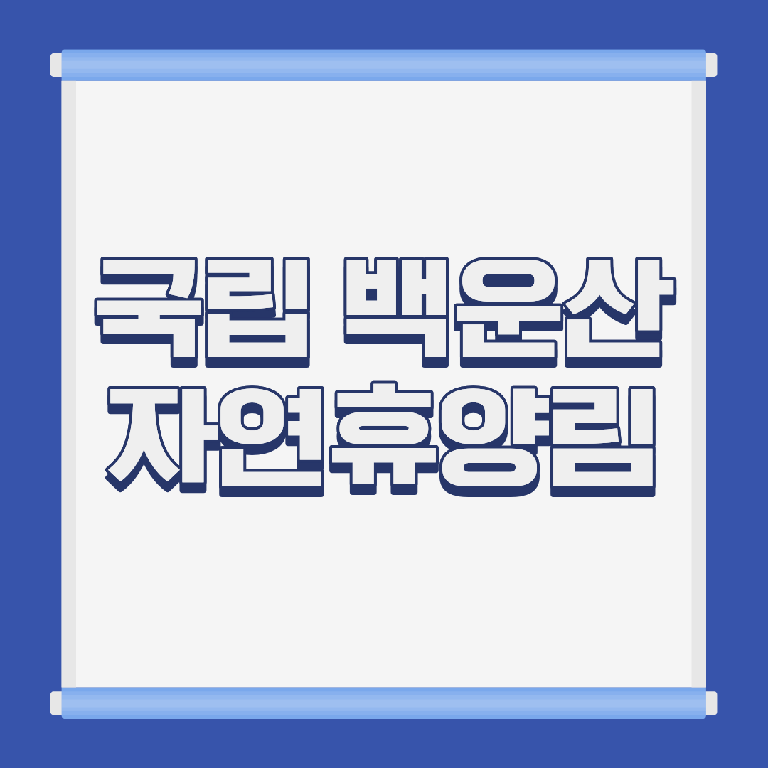 국립 백운산 자연휴양림 용수골 계곡 전경 강원 원주