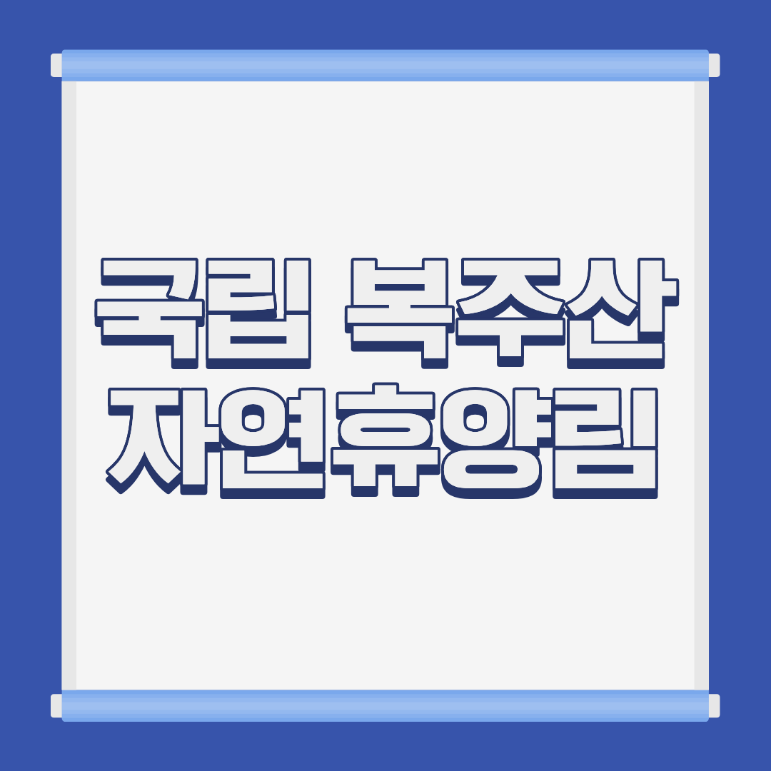 국립 복주산 자연휴양림 잠곡리 계곡 전경 강원 철원