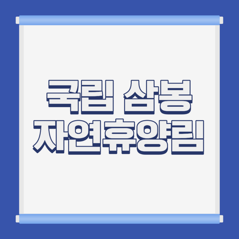 국립 삼봉 자연휴양림 계곡 전경 강원 홍천 내면