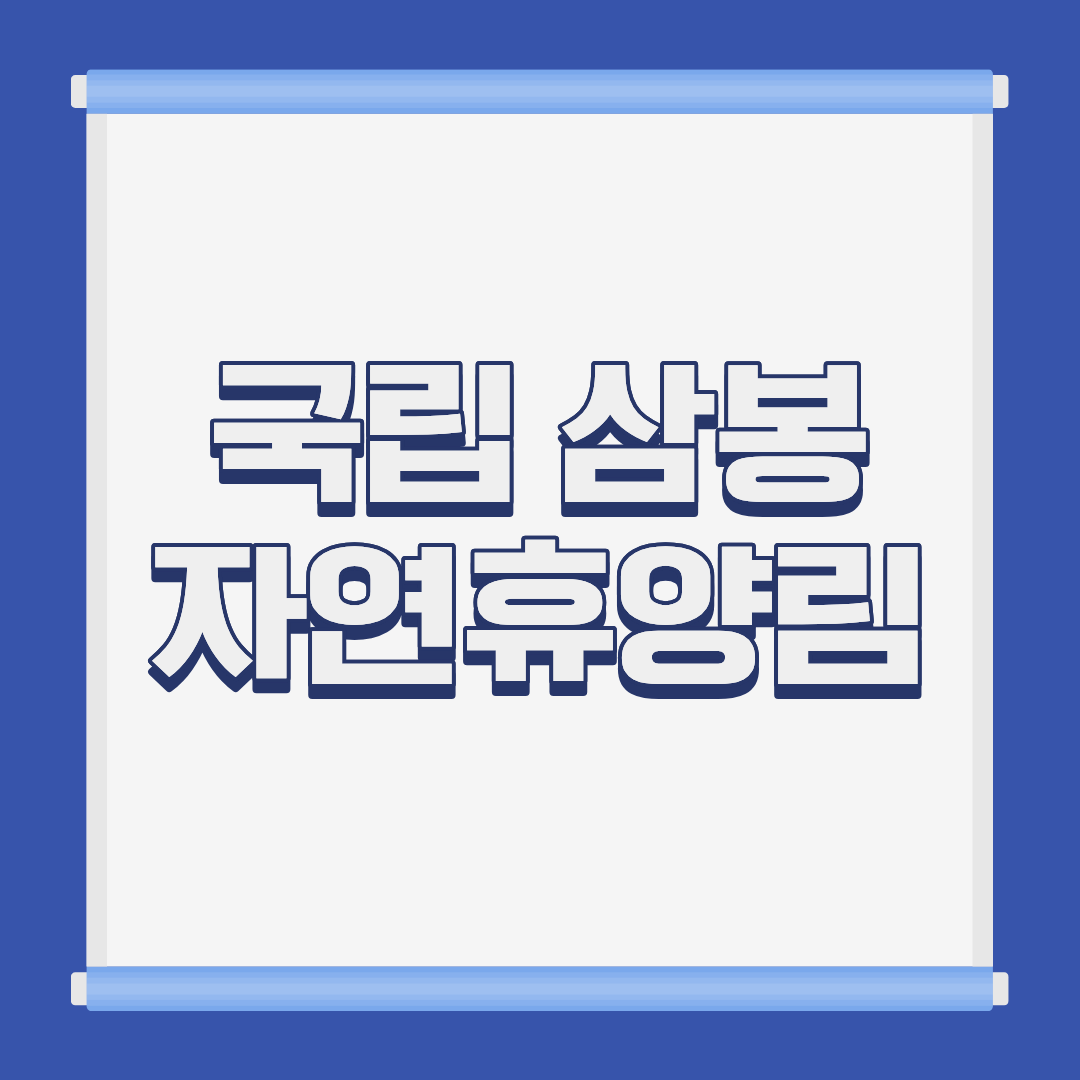 국립 삼봉 자연휴양림 계곡 전경 강원 홍천 내면