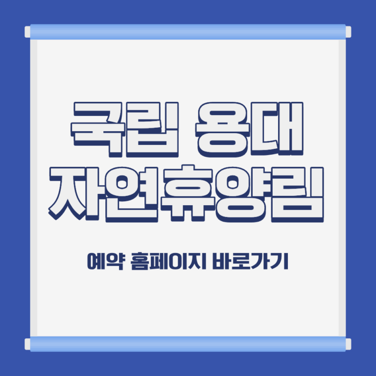 국립 용대 자연휴양림 계곡 전경 강원 인제 북면