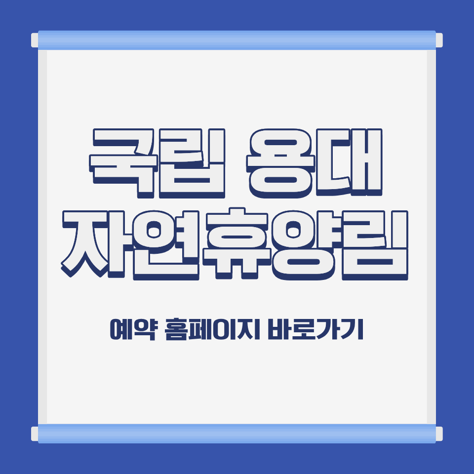 국립 용대 자연휴양림 계곡 전경 강원 인제 북면