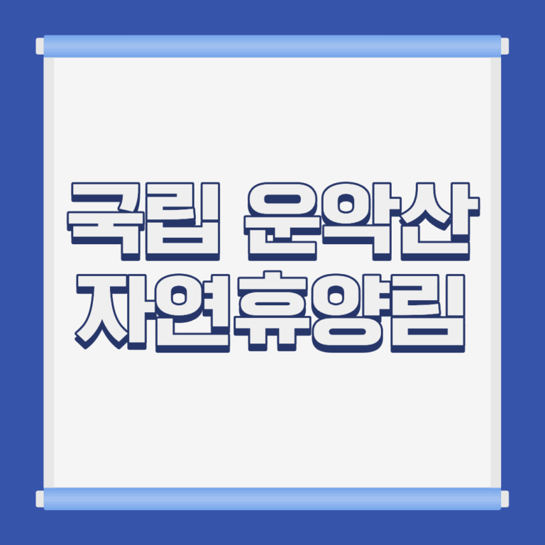 국립 운악산 자연휴양림 숲속 전경 경기 포천
