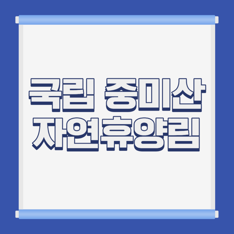 국립 중미산 자연휴양림 트리하우스 전경 경기 양평