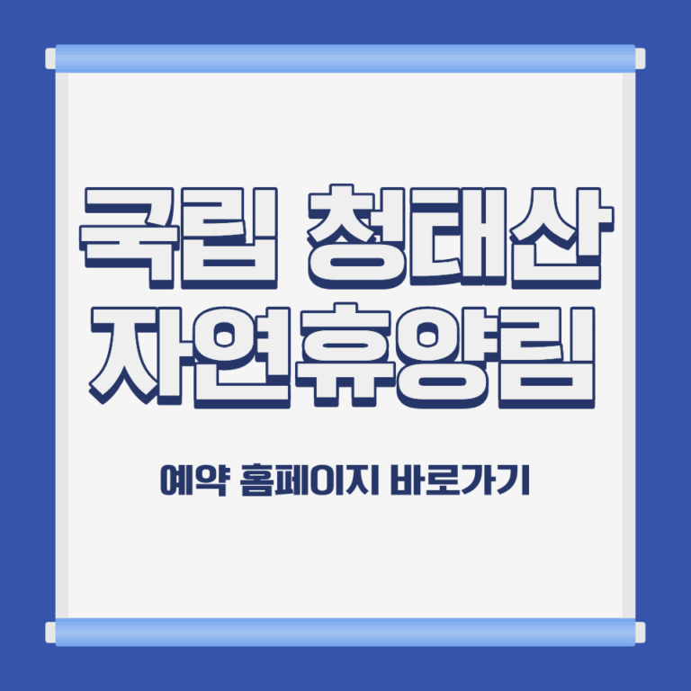 국립 청태산 자연휴양림 잣나무숲 전경 강원 횡성