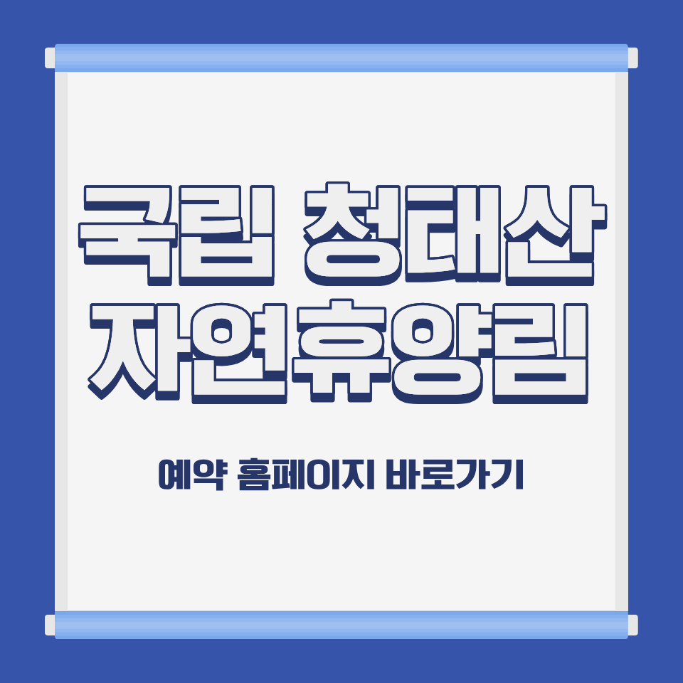 국립 청태산 자연휴양림 잣나무숲 전경 강원 횡성