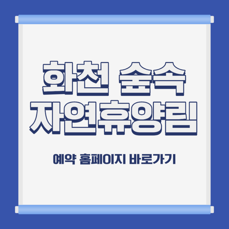 국립 화천 숲속야영장 계곡 야영 전경 강원 화천