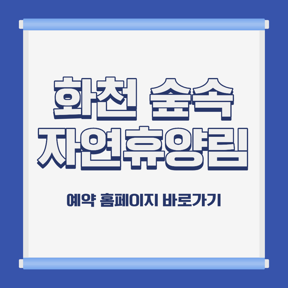 국립 화천 숲속야영장 계곡 야영 전경 강원 화천